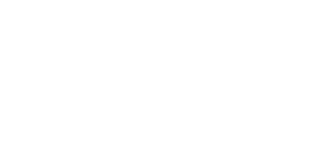 logo Factio Qualitas